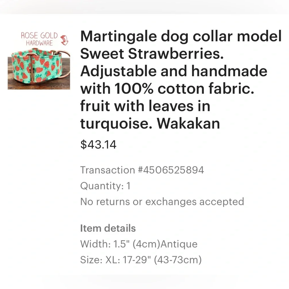 Wakakan Martingale Dog Collar with Strawberry Design—XL Size